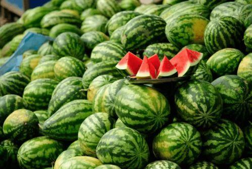 都哪些网红在吃瓜,盘点那些热衷于吃瓜的网红们