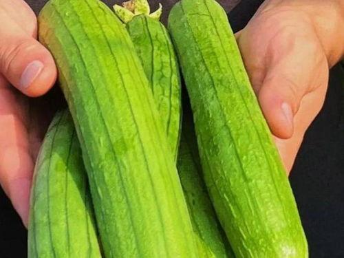 吃瓜网推荐一下,盘点那些让人欲罢不能的美食佳肴