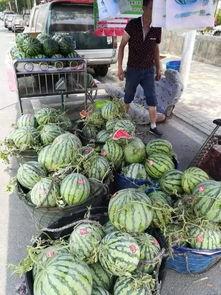 武都网红吃瓜事件视频曝光